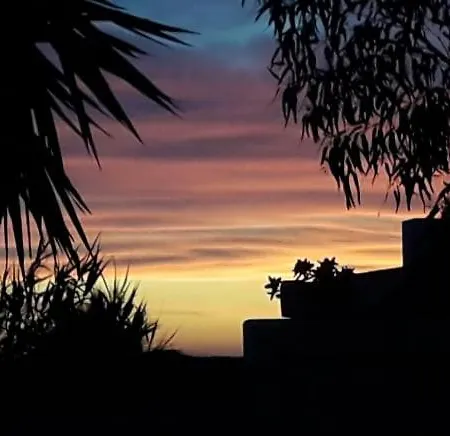 Maxija - Palm * Għarb