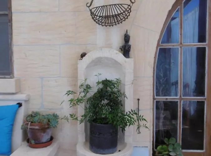 Maxija - Palm Għarb